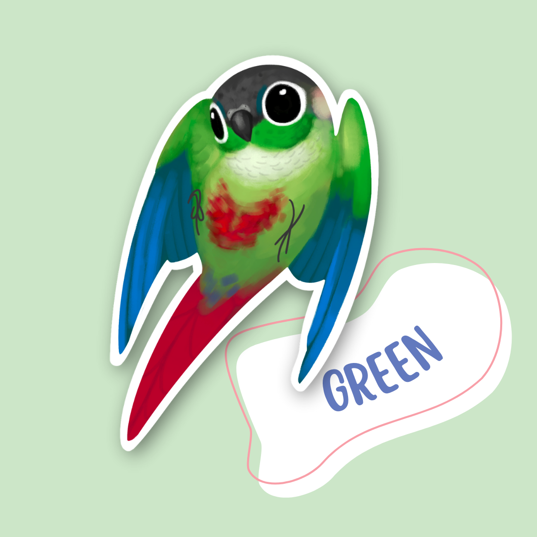 Green-cheek Conure Sticker