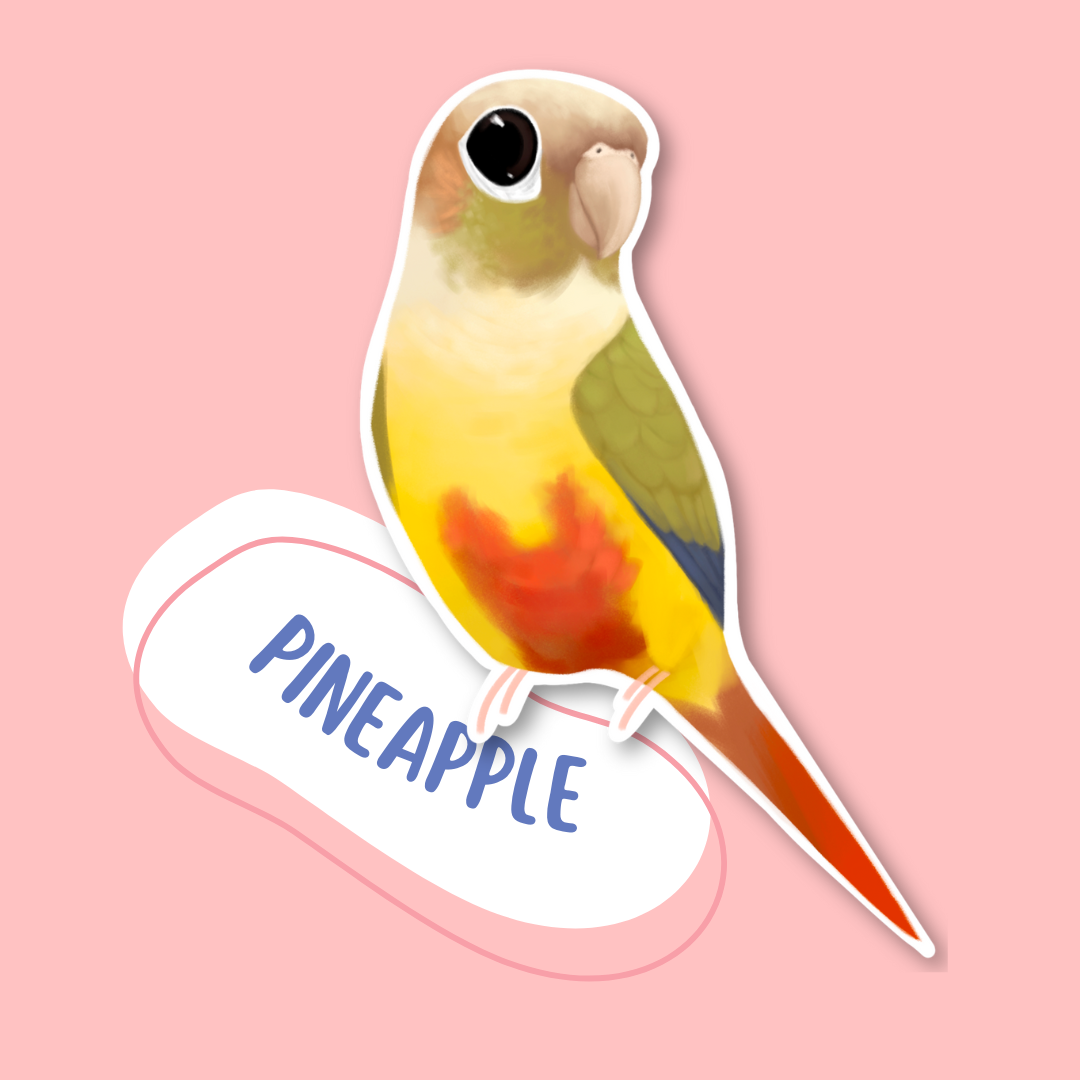 Green-cheek Conure Sticker