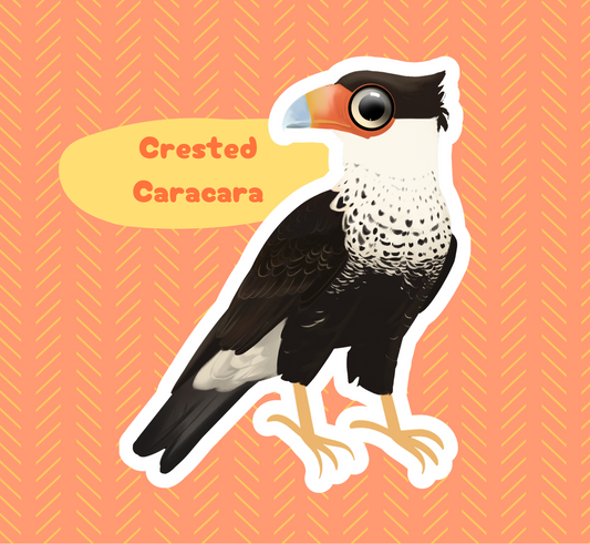 Crested Caracara Sticker