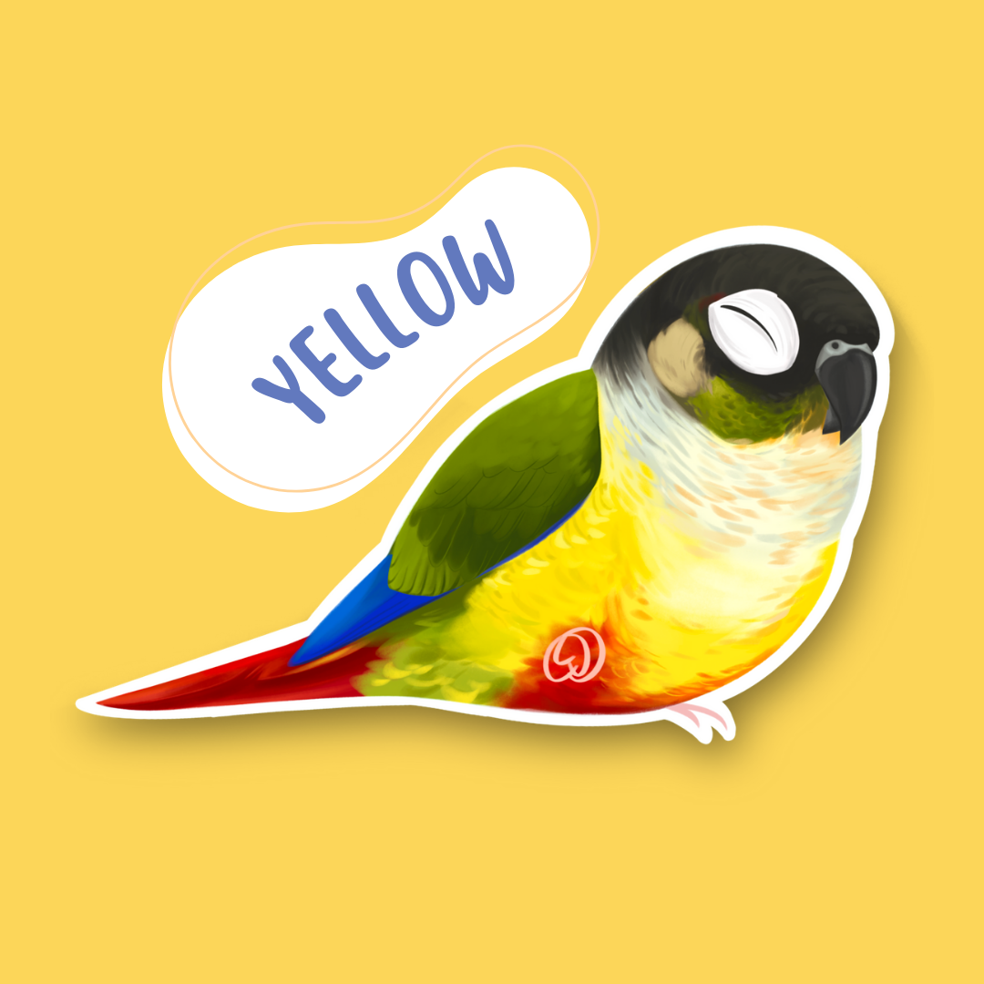 Green-cheek Conure Sticker