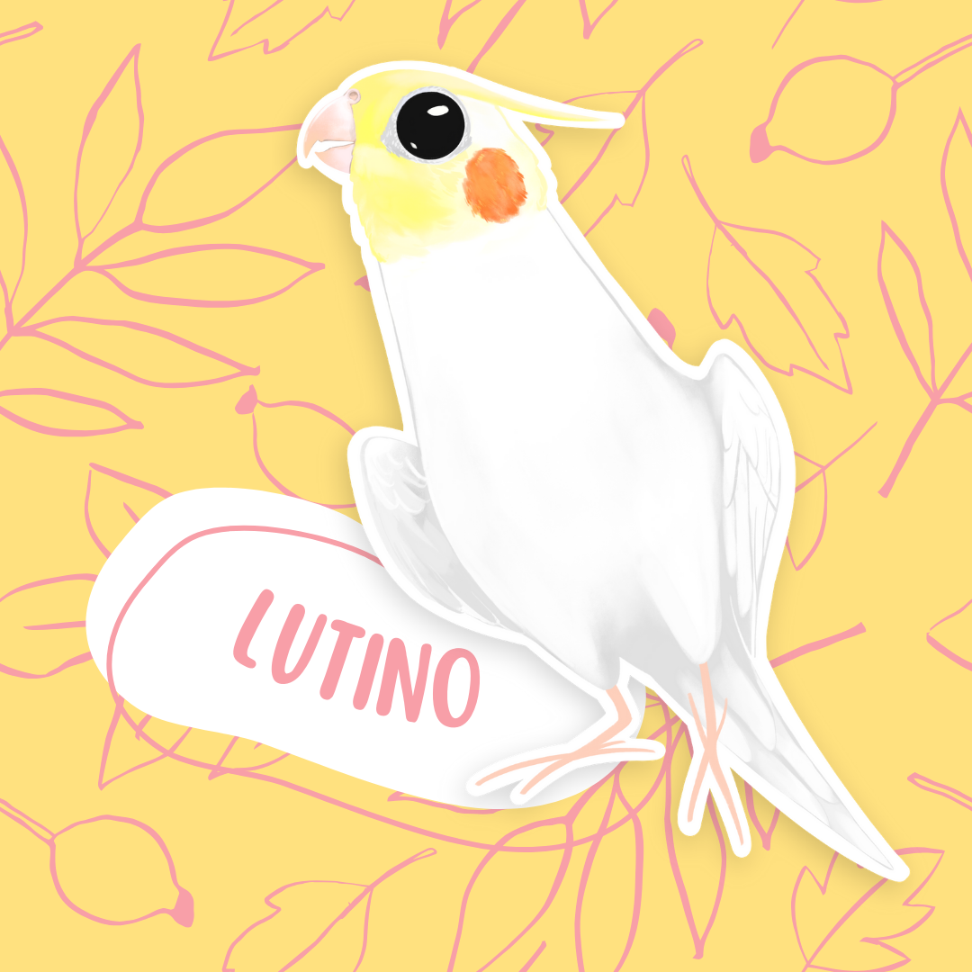 Cockatiel Stickers