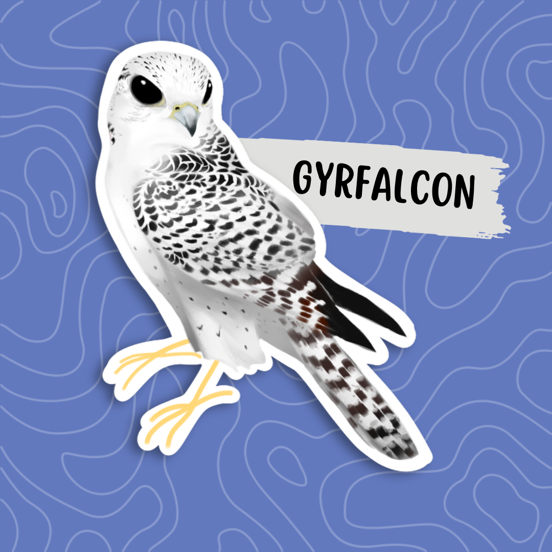 Gyrfalcon Sticker