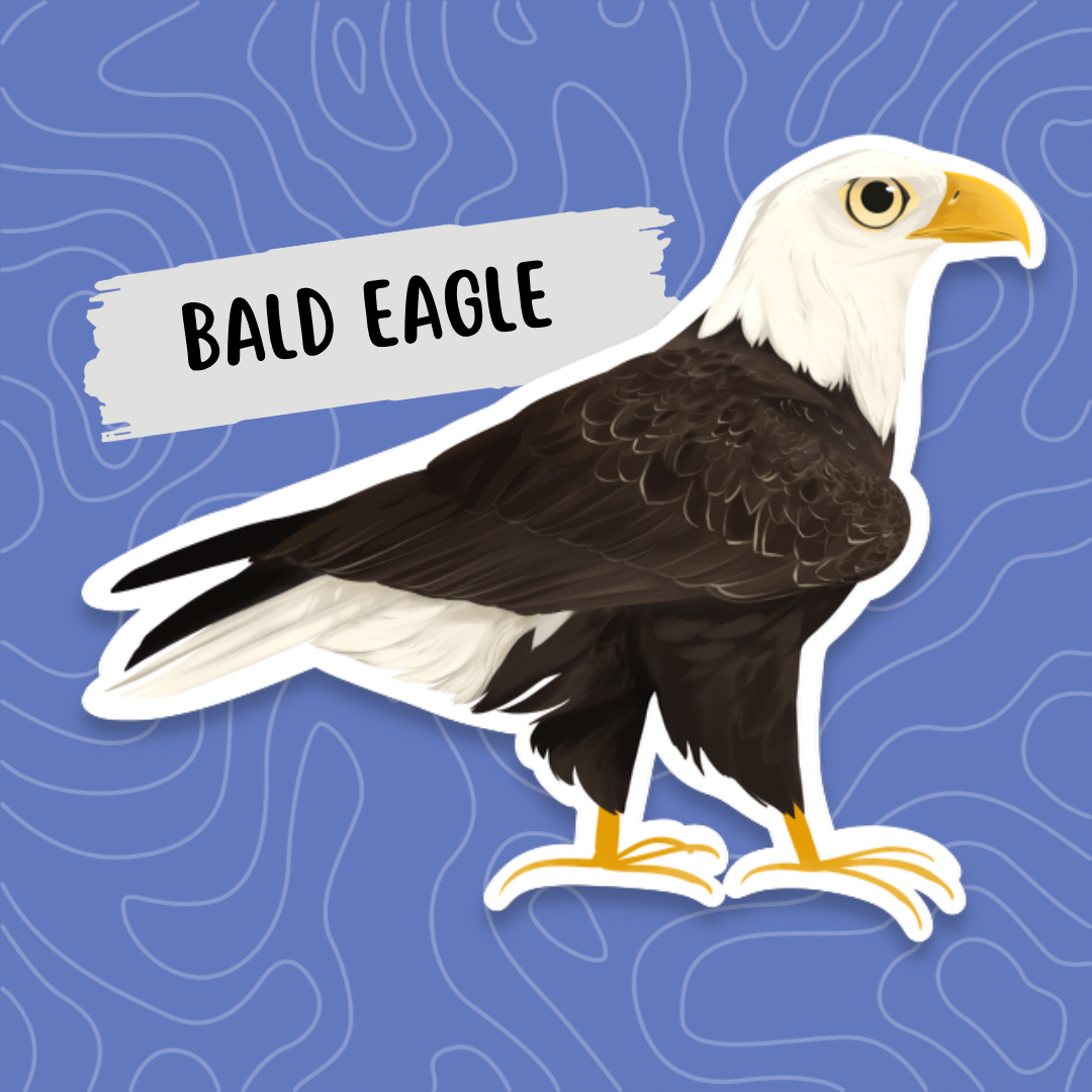 Bald Eagle Sticker