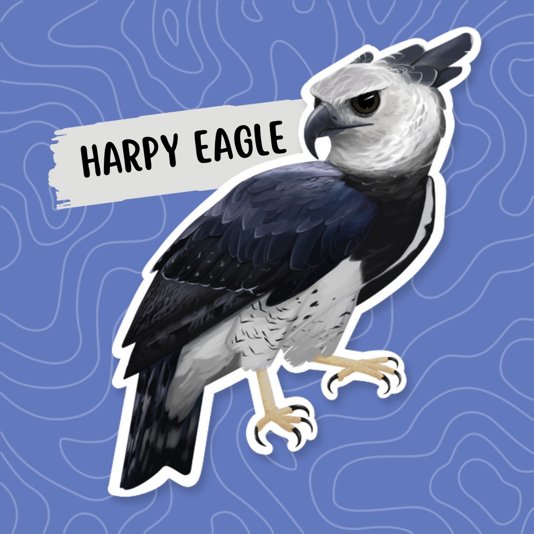 Harpy Eagle Sticker